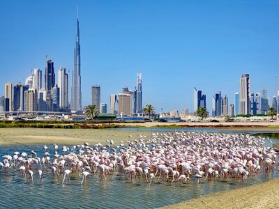 1610018953_405104-dubai